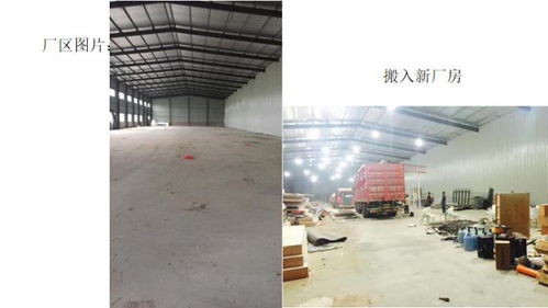 重慶搭建工廠服務(wù)公司與德陽網(wǎng)絡(luò)科技的協(xié)同發(fā)展之路